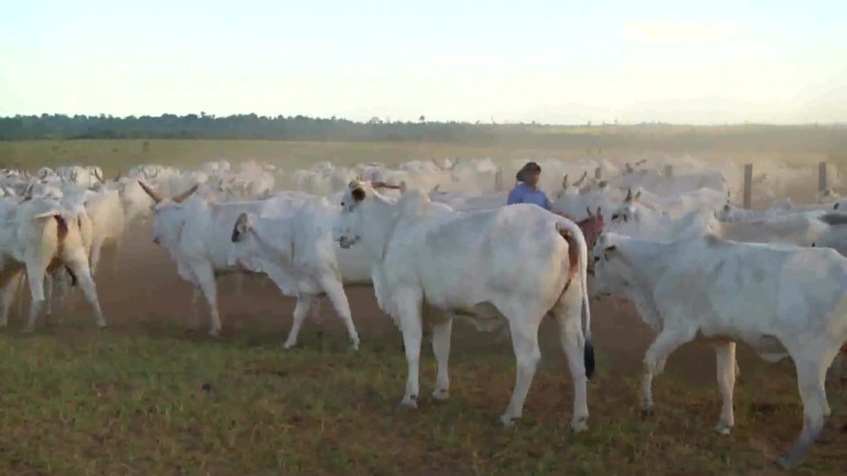 Parceiros do Campo – Marabá – PA