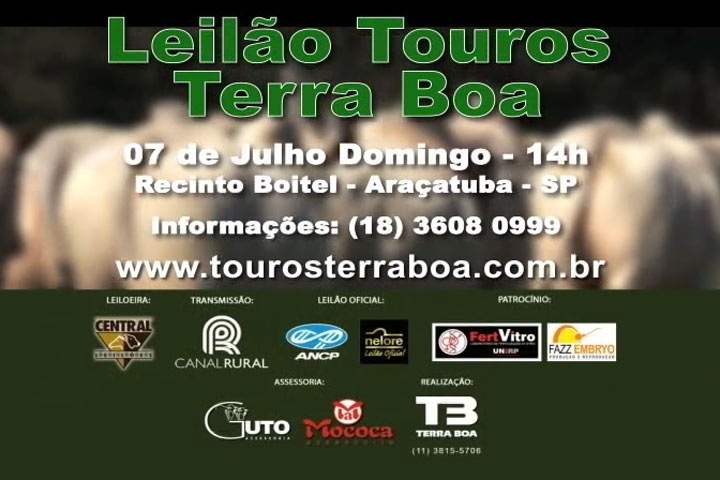 Leilão Touros Terra Boa