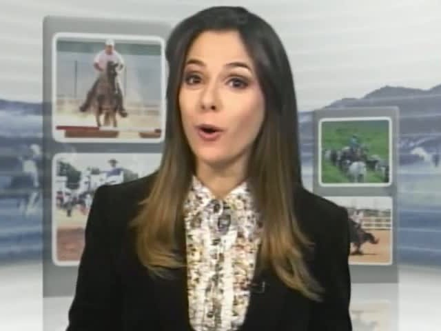 Parte 1: Mangalarga Marchador TV destaca as provas do Caminhos do Marchador nas praias de Porto de Galinhas (PE)