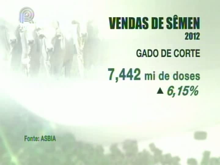 Venda de sêmen bovino subiu mais de 3,5% em 2012, segundo a Associação Brasileira de Inseminação (ASBIA)