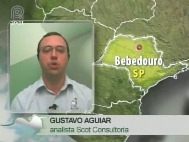 Analista da Scot Consultoria fala sobre o mercado do boi gordo