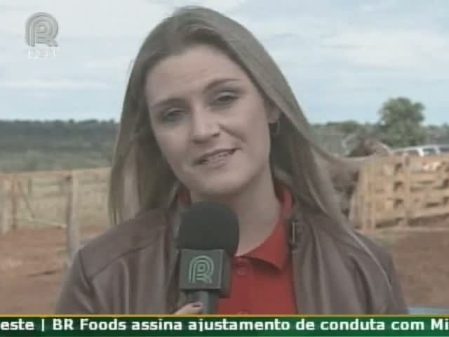 Conheça os segredos do pecuarista Rubens Catenacci