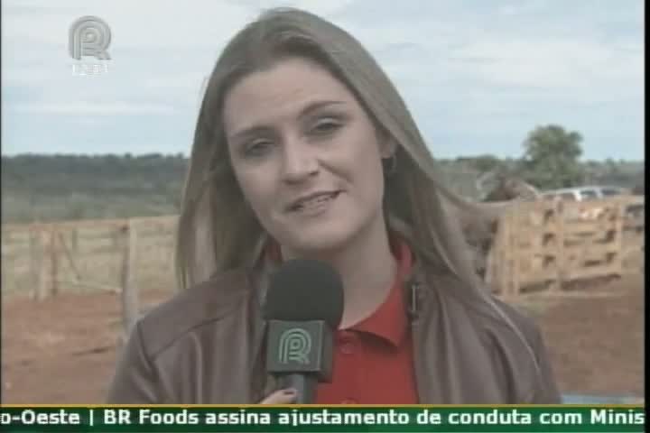 Conheça os segredos do pecuarista Rubens Catenacci