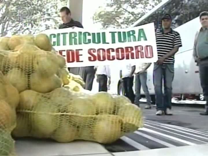 Conab confirma retomada do pagamento de subvenção a produtores de laranja