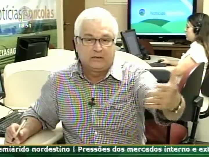 Produtor e diretor da Avimag fala sobre tendência de queda no preço do milho