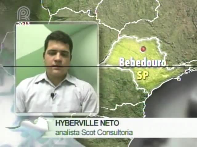 Analista da Scot Consultoria fala sobre mercado atacadista de carne bovina