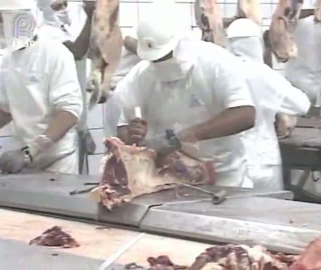 Mato Grosso registra recorde mensal de abate de bovinos em julho