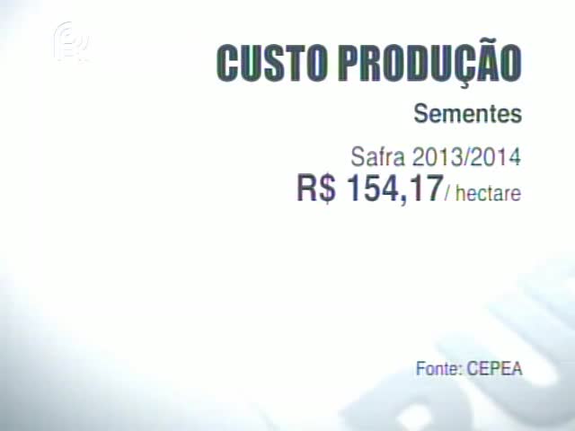 Custos da produção da safra 2013/2014 de milho podem prejudicar plantio da safrinha