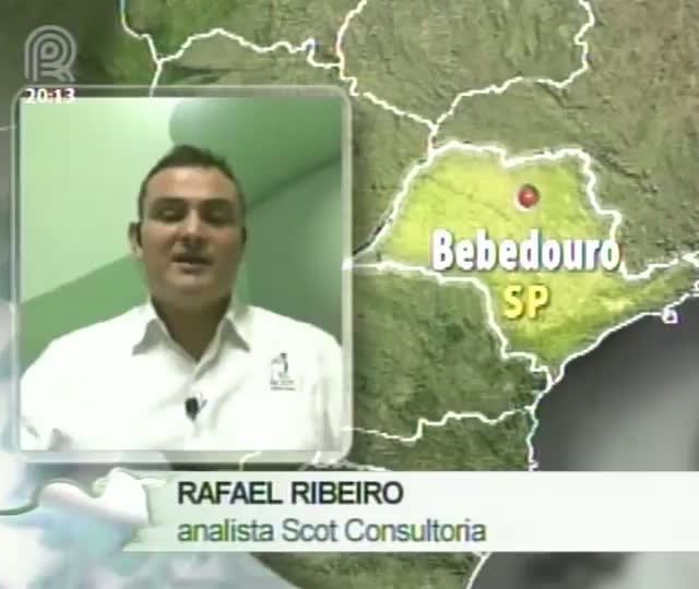 Analista da Scot Consultoria fala sobre os preços do milho e farelo da soja