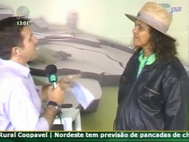 Pesquisadora da Embrapa Soja fala sobre nova variedade de soja lançada no Show Rural Coopavel