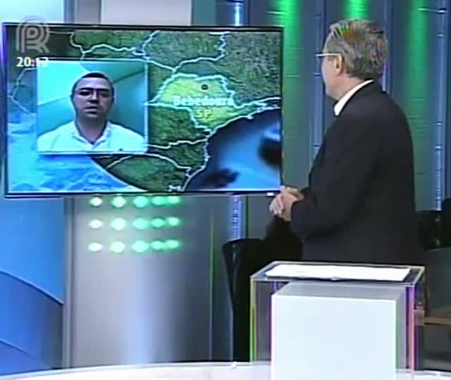 Analista da Scot Consultoria fala sobre balança comercial de carnes