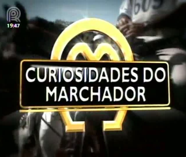Mangalarga Marchador TV mostra uma cavalgada diferente para homenagear as mulheres - Parte 2