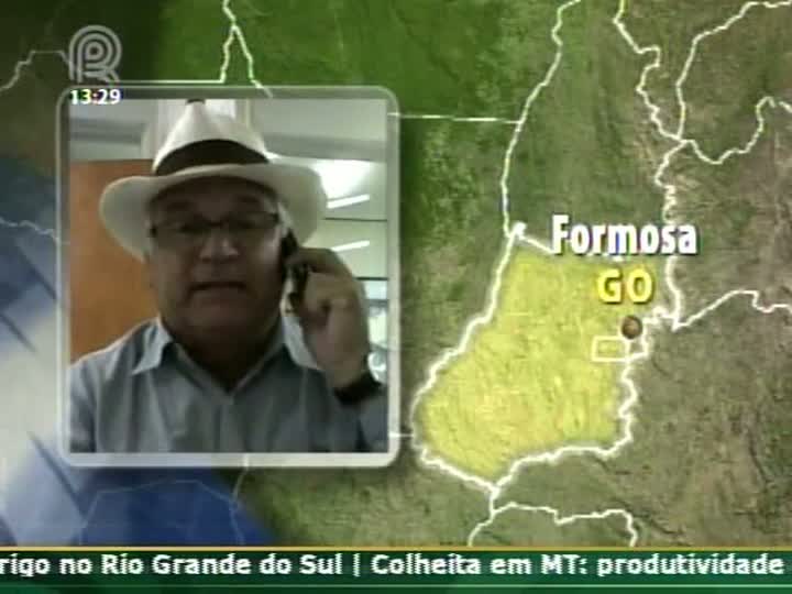 Produtor rural fala sobre chuva que voltou e trouxe tranquilidade aos produtores de soja de Formosa (GO)