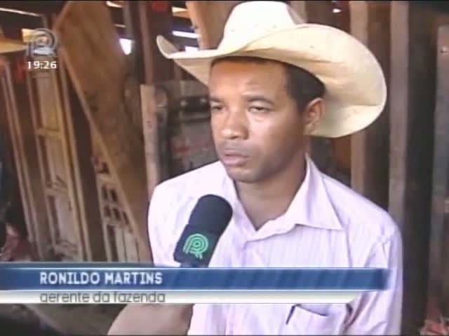 Campanha da primeira etapa de vacinação contra aftosa em Mato Grosso deve alcançar média dos últimos anos