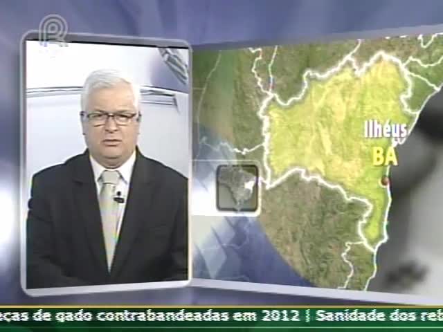 Repórter do Canal Rural acompanha crise indígena na Bahia