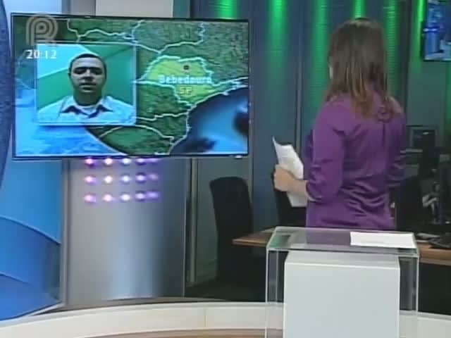 Analista da Scot Consultoria fala sobre abate de fêmeas
