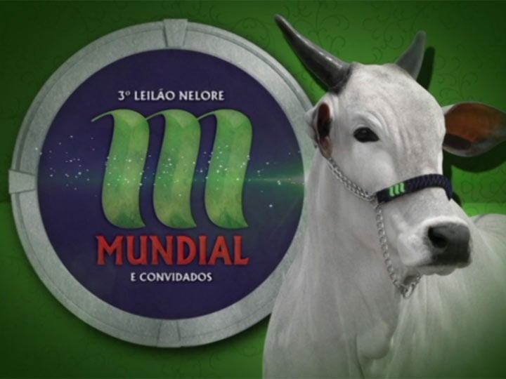 3º Leilão Nelore Mundial & Convidados