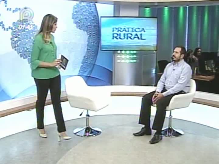 Prática Rural fala sobre manejo de aves