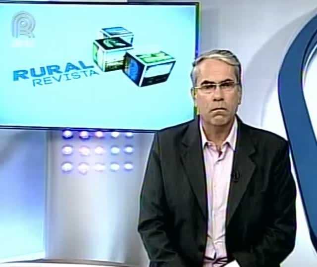 Diretor do Hospital Veterinário da UFSM fala sobre perda de estagiários em tragédia em Santa Maria (RS)