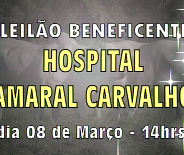 Leilão Beneficente Hospital Amaral Carvalho