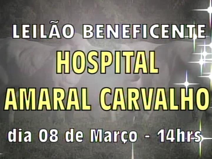 Leilão Beneficente Hospital Amaral Carvalho