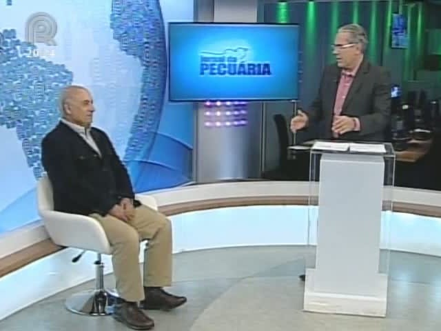 Criador fala sobre os cavalos árabes