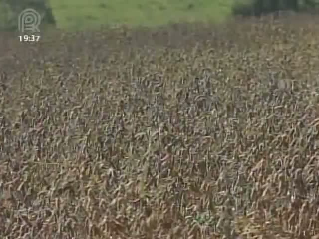 Antônio Andrade diz que logística é maior desafio para o agronegócio