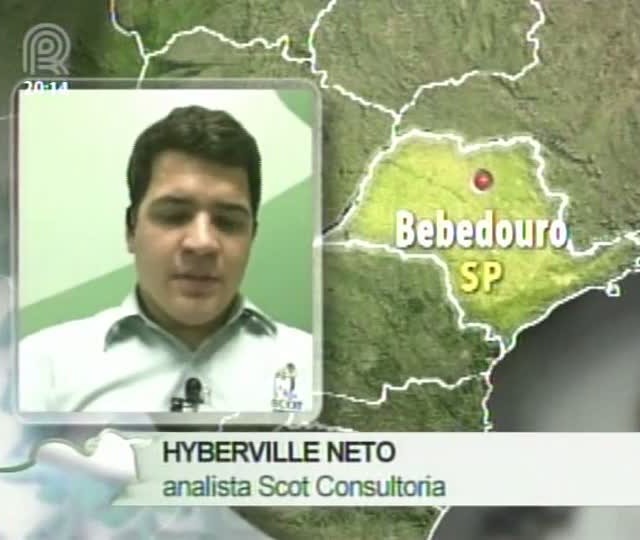 Analista da Scot Consultoria fala sobre o mercado de boi gordo