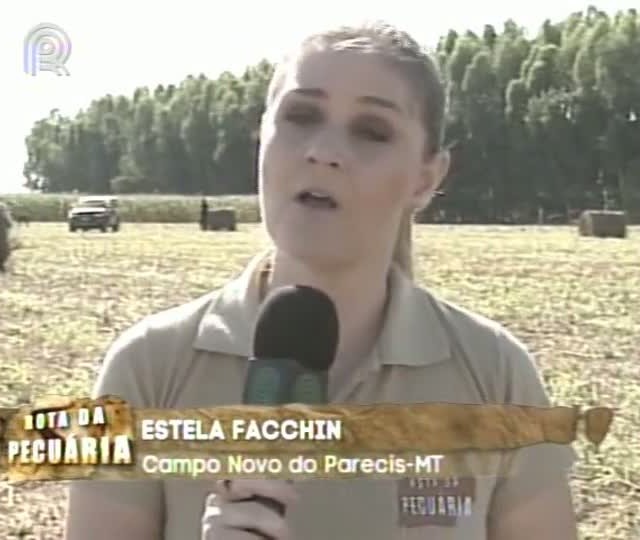 Rota da Pecuária visita em Campo Novo de Parecis (MT) propriedade que usa feno como alternativa de alimentação do rebanho