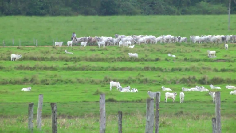 Parceiros do Campo – Cárceres – MT