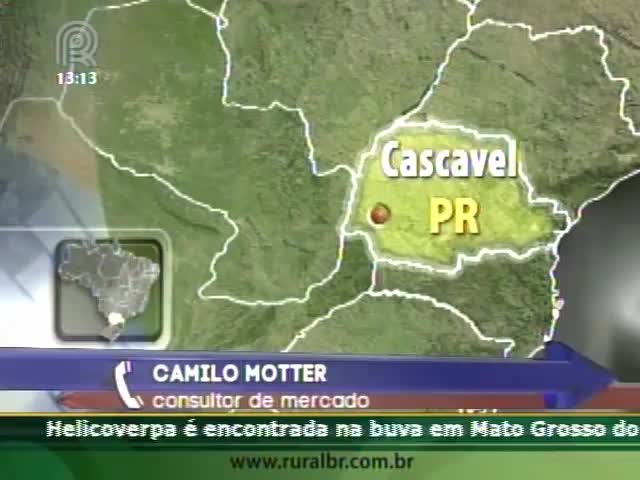 Plantio no Paraná está excelente