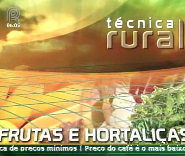 Ponto de colheita do kiwi