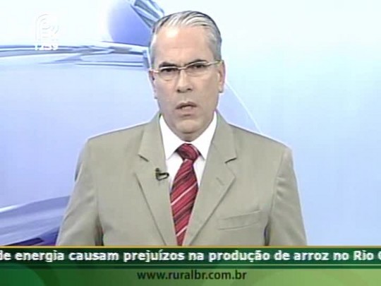 Produtores de arroz do Rio Grande do Sul enfrentam oscilações no fornecimento de energia