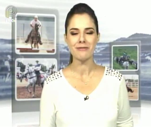 Mangalarga Marchador TV mostra dia de campo no Haras Figueira - Parte 1