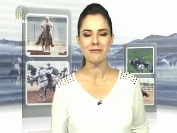 Mangalarga Marchador TV mostra dia de campo no Haras Figueira - Parte 1