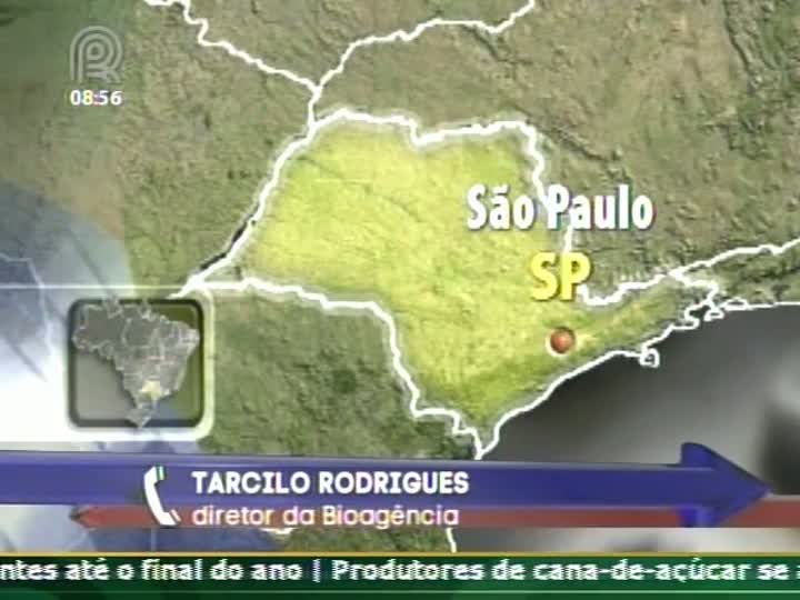 Diretor da Bioagência fala das perspectivas para o mercado sucroenergético