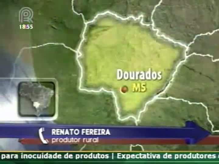 Produtor rural fala sobre os prejuízos na safra de soja devido a seca em MS