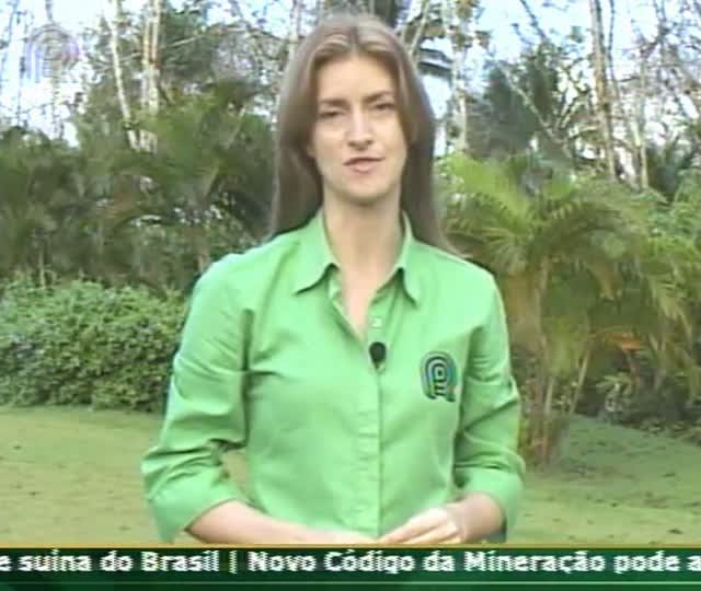 Técnica Rural - Gestão & Inovação - Seleção de seringueiras resistentes ao mal das folhas