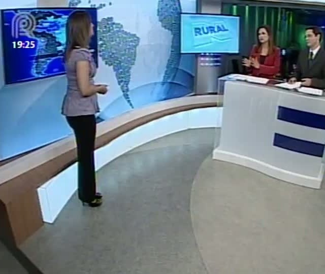 Confira a previsão do tempo para a região sul e sudeste do Brasil