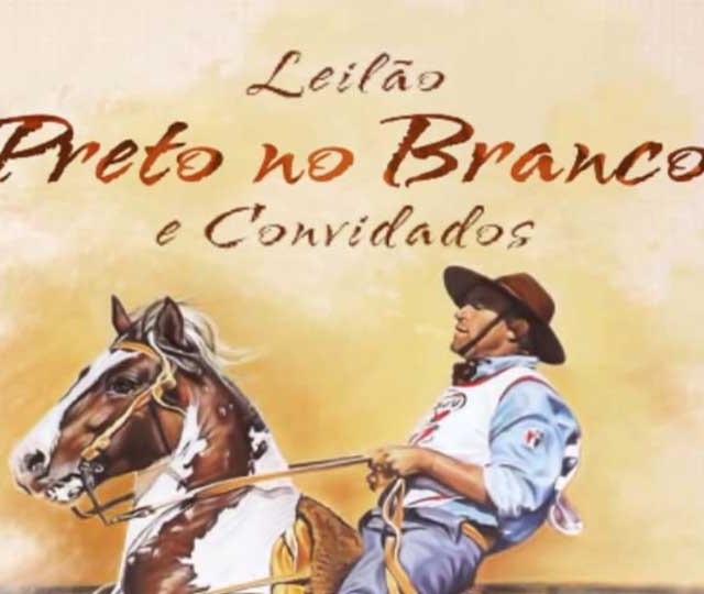 Leilão Preto no Branco e Convidados oferta 42 animais da raça crioula