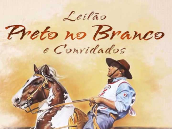 Leilão Preto no Branco e Convidados oferta 42 animais da raça crioula