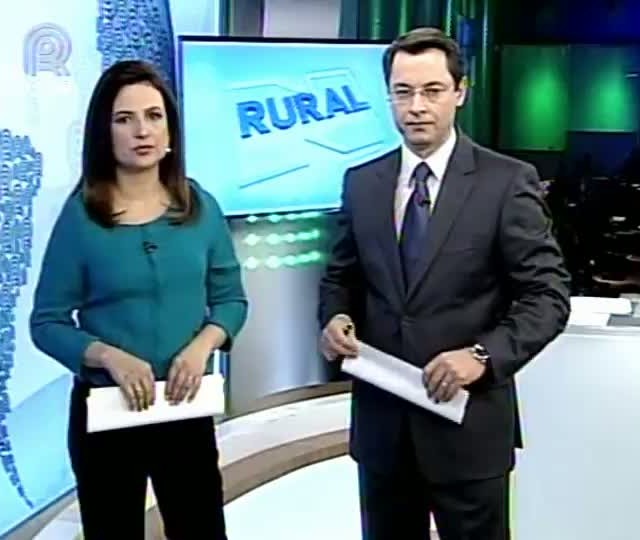 Movimentação no Porto de Santos ficou paralisada nesta sexta devido à greve dos fiscais agropecuários