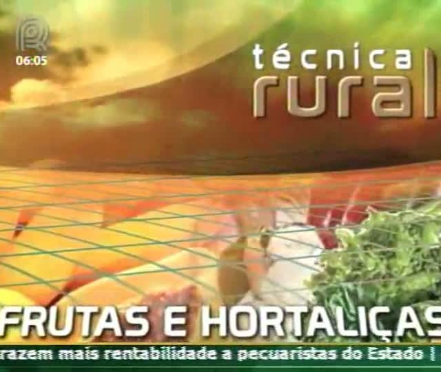 Produção integrada de pêssego