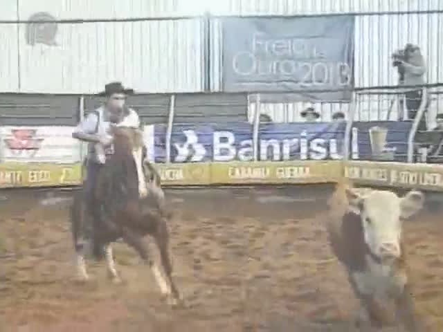 Oito finalistas foram conhecidos para a grande final do Freio de Ouro 2013