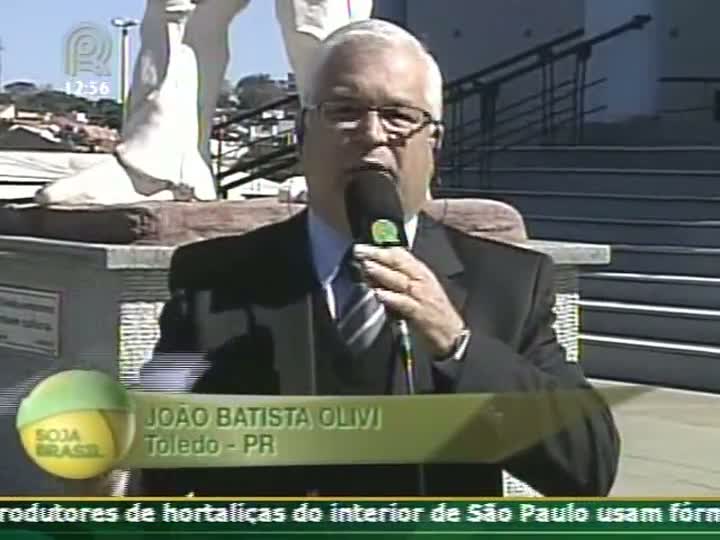 Milho e pastagens foram os mais atingidos por geada no Paraná