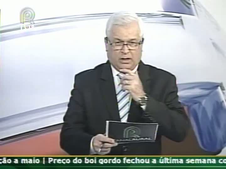 Analista de mercado fala sobre o futuro de soja e milho na Bolsa de Chicago