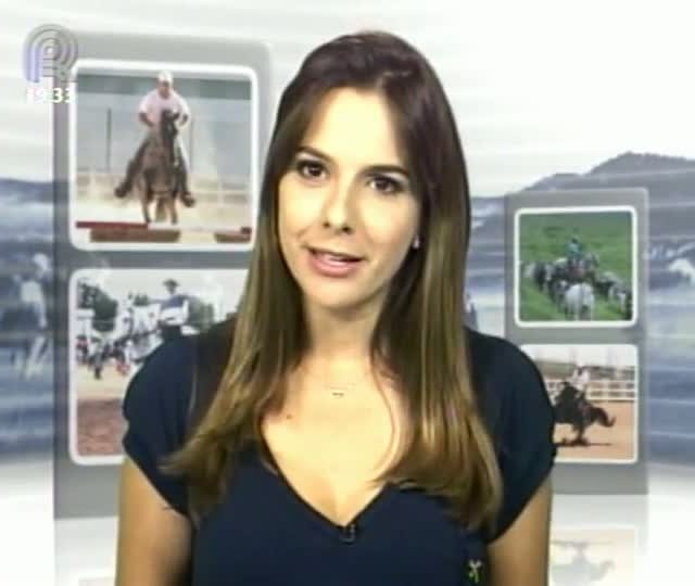 Parte 2 Mangalarga Marchador mostra a participação da raça na Equitana 2013