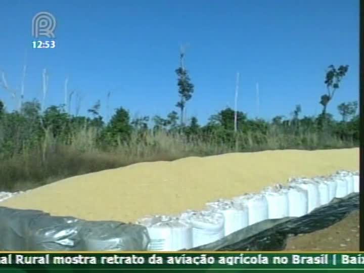 Pequenos produtores de milho não têm armazém para a produção