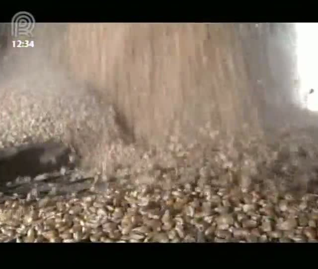 Falta de capacidade para armazenar é tema do Canal Rural Na Estrada
