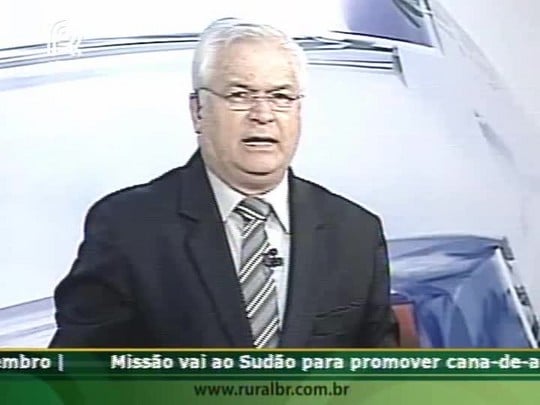 Soja Brasil registra estragos por chuva de granizo e preocupação com falta de benzoato em Cornélio Procópio (PR)